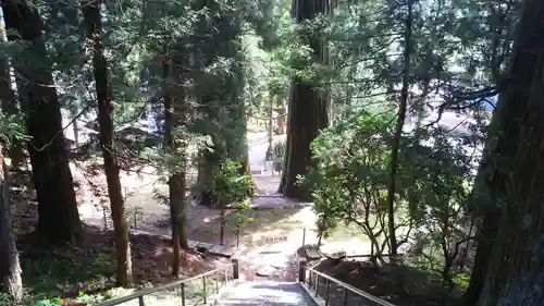 夏井諏訪神社の建物その他