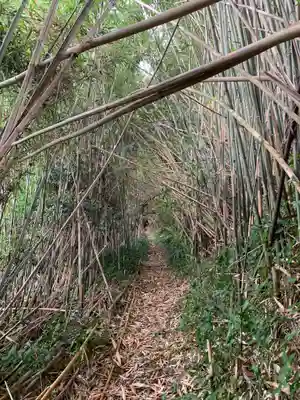 神社(名称不明)の周辺