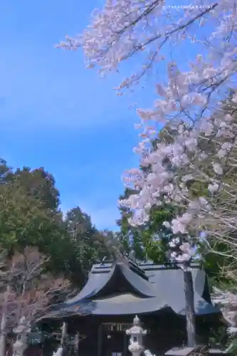 冨士御室浅間神社(山梨県)