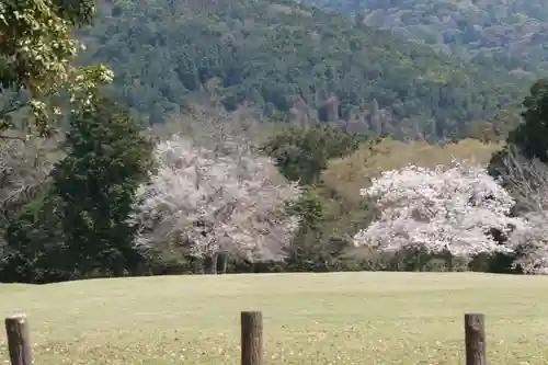 興福寺の景色