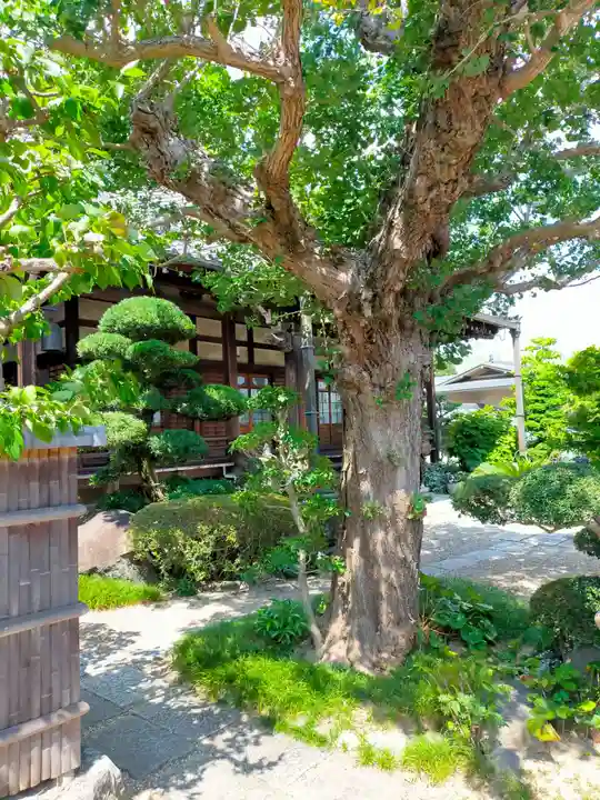西教寺(奈良県)