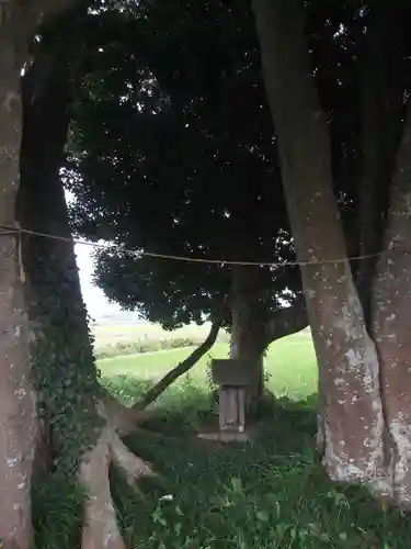 裏つくば、恋瀬川沿いの神社(茨城県)