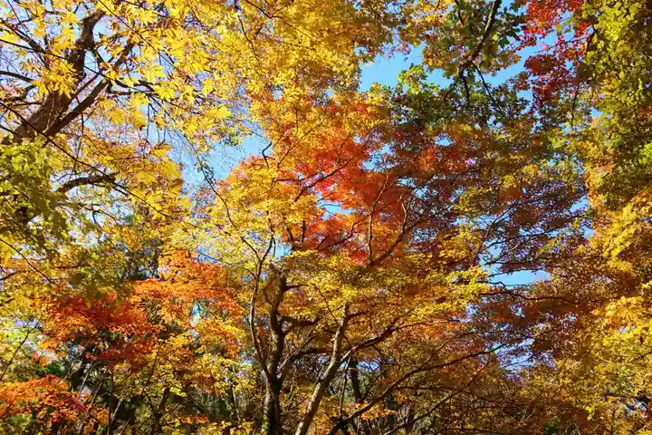 隠津島神社の自然