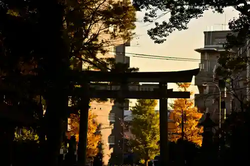 玉川神社の鳥居