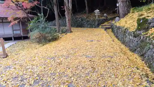 出雲大神宮(京都府)