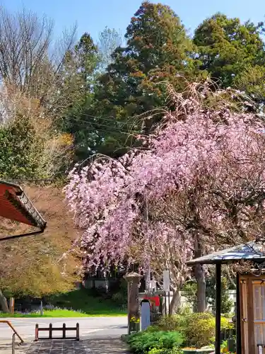 月心院(福島県)
