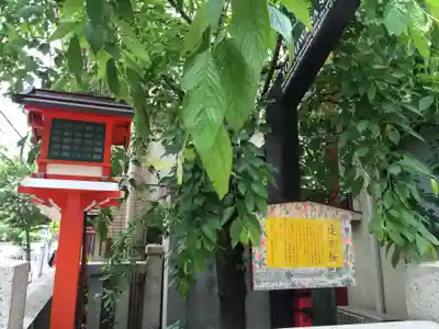 吉原神社(東京都)