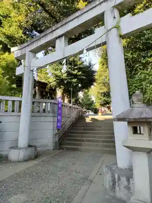 幡ケ谷氷川神社(東京都)