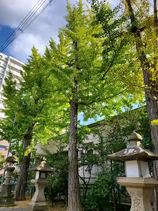阿邪訶根神社の自然