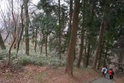 高龗神社の自然