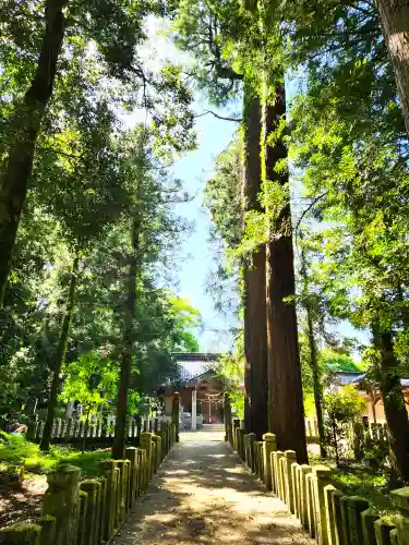 與位神社の建物その他