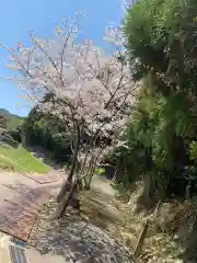 戸田柿本神社の自然