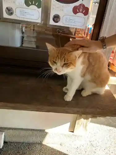 救馬溪観音(和歌山県)