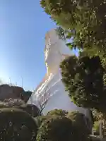 大船観音寺(神奈川県)