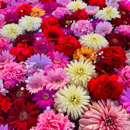 法輪寺(東京都)