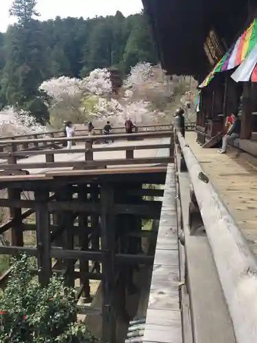 長谷寺の本殿・本堂