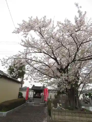 真光寺(千葉県)