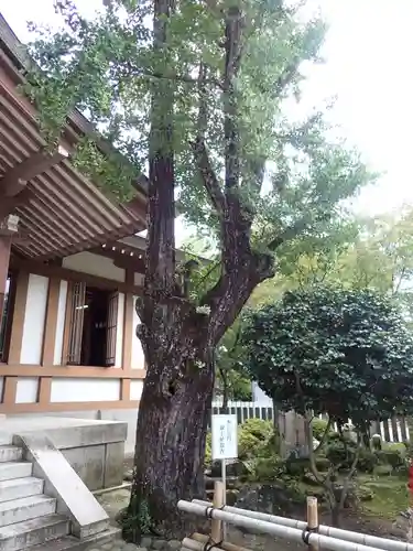 多田神社の自然