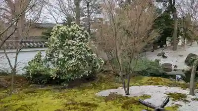 興聖寺(京都府)