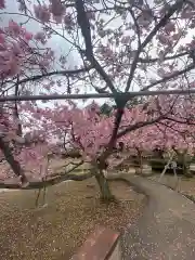 慈悲観音堂の庭園