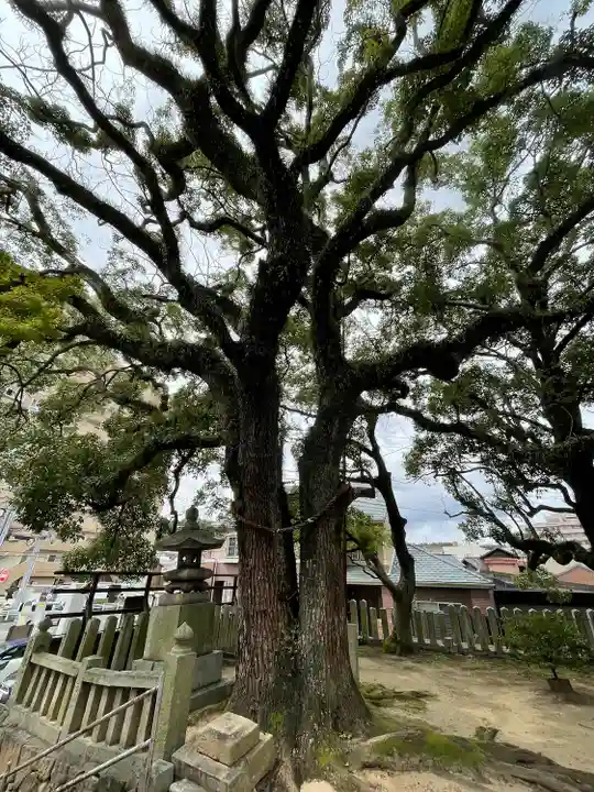 嚴島神社の自然