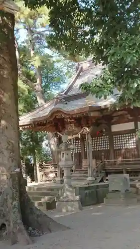 諏訪神社の本殿・本堂