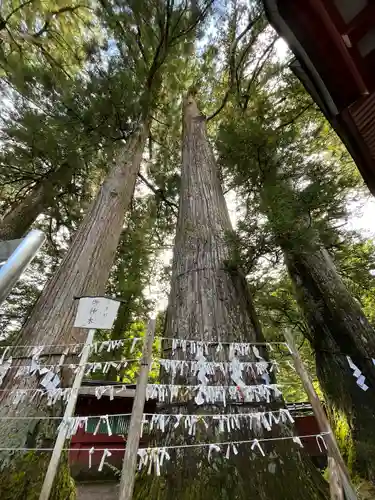 日光二荒山神社(栃木県)