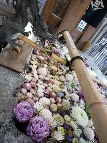 高円寺氷川神社の手水