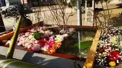 三津厳島神社の手水