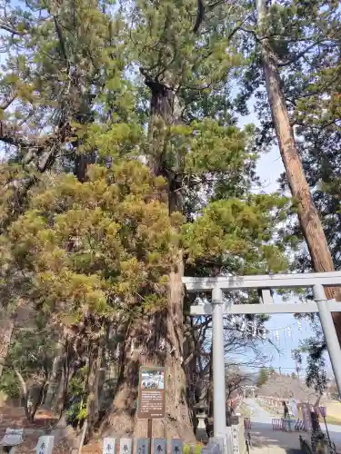 相馬中村神社の{uncategorized: "未分類", other: "その他", undefined: "問題あり", building: "その他建物", grave: "お墓", sacred_gate: "鳥居", guardian: "狛犬", statue: "像", buddha: "仏像", history: "歴史", nature: "自然", garden: "庭園", animal: "動物", pagoda: "塔", temizu: "手水舎", mountain_gate: "山門・神門", sanctuary: "本殿・本堂", subordinate: "末社・摂社", art: "芸術", scenery: "景色", jizo: "地蔵", ema: "絵馬", goshuin: "御朱印", omikuji: "おみくじ", items: "授与品その他", amulet: "お守り", goshuincho: "御朱印帳", eats: "食事", festival: "お祭り", votive_dance: "神楽", shichigosan: "七五三参", wedding: "結婚式", experience: "体験その他", initially: "初詣", around: "周辺", anti_infection: "感染症対策"}