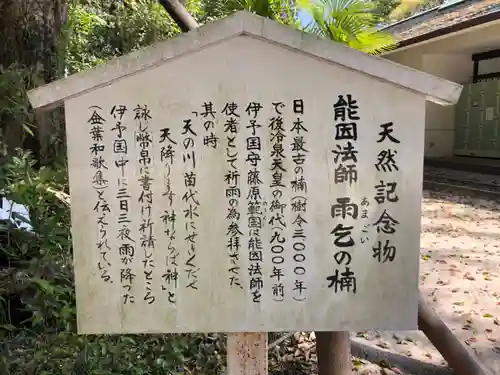 大山祇神社の歴史