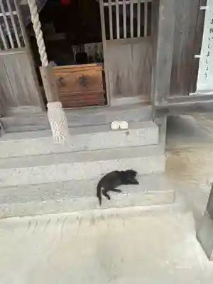 年毛神社(福岡県)