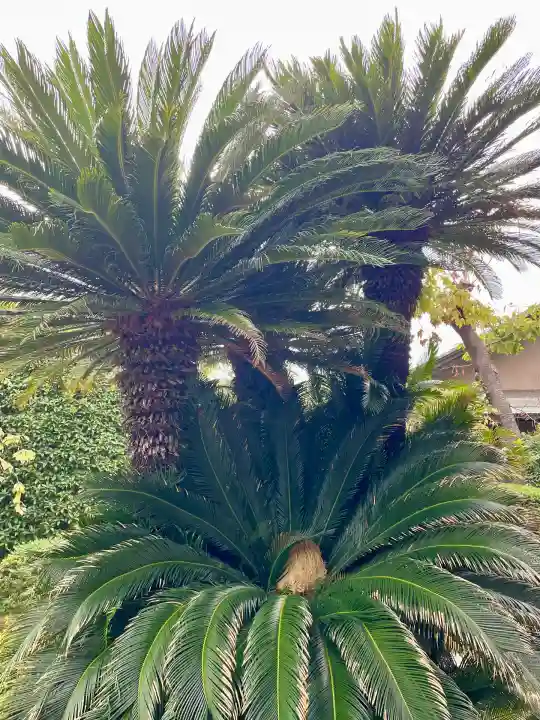 善明寺(東京都)