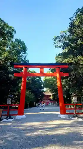 賀茂御祖神社（下鴨神社）の鳥居