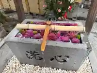 蛇窪神社の{uncategorized: "未分類", other: "その他", undefined: "問題あり", building: "その他建物", grave: "お墓", sacred_gate: "鳥居", guardian: "狛犬", statue: "像", buddha: "仏像", history: "歴史", nature: "自然", garden: "庭園", animal: "動物", pagoda: "塔", temizu: "手水舎", mountain_gate: "山門・神門", sanctuary: "本殿・本堂", subordinate: "末社・摂社", art: "芸術", scenery: "景色", jizo: "地蔵", ema: "絵馬", goshuin: "御朱印", omikuji: "おみくじ", items: "授与品その他", amulet: "お守り", goshuincho: "御朱印帳", eats: "食事", festival: "お祭り", votive_dance: "神楽", shichigosan: "七五三参", wedding: "結婚式", experience: "体験その他", initially: "初詣", around: "周辺", anti_infection: "感染症対策"}