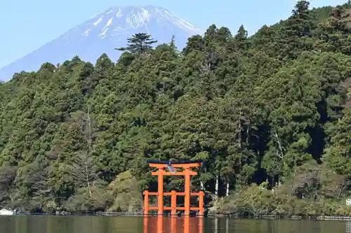 箱根神社の景色