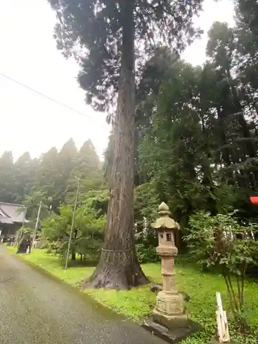 花松神社の建物その他