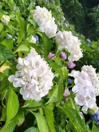 弥勒寺の{uncategorized: "未分類", other: "その他", undefined: "問題あり", building: "その他建物", grave: "お墓", sacred_gate: "鳥居", guardian: "狛犬", statue: "像", buddha: "仏像", history: "歴史", nature: "自然", garden: "庭園", animal: "動物", pagoda: "塔", temizu: "手水舎", mountain_gate: "山門・神門", sanctuary: "本殿・本堂", subordinate: "末社・摂社", art: "芸術", scenery: "景色", jizo: "地蔵", ema: "絵馬", goshuin: "御朱印", omikuji: "おみくじ", items: "授与品その他", amulet: "お守り", goshuincho: "御朱印帳", eats: "食事", festival: "お祭り", votive_dance: "神楽", shichigosan: "七五三参", wedding: "結婚式", experience: "体験その他", initially: "初詣", around: "周辺", anti_infection: "感染症対策"}