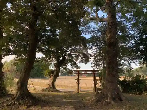 稲荷神社のその他建物