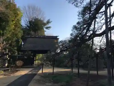 海岸寺の庭園