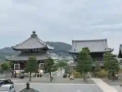 くろ谷 金戒光明寺(京都府)