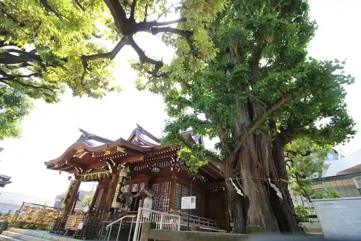 大鳥神社(東京都)