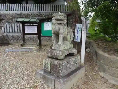 小泉神社の狛犬