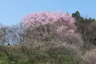 鹿島大神宮の周辺