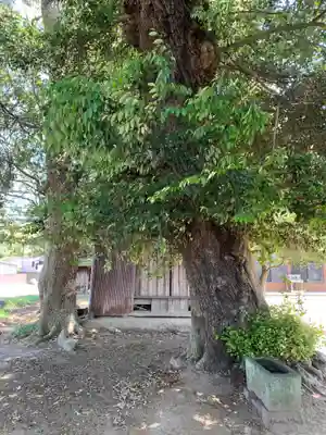 笠神社(千葉県)