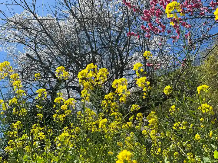 慈光寺(埼玉県)