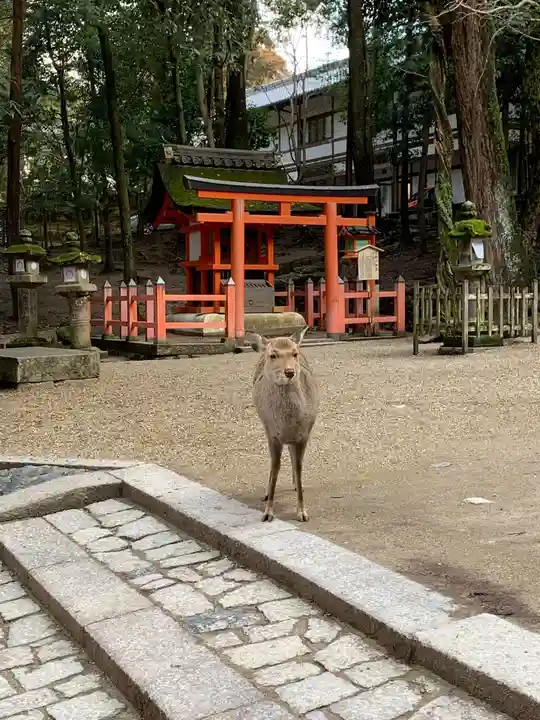 春日大社(奈良県)