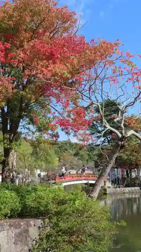 鶴岡八幡宮の庭園