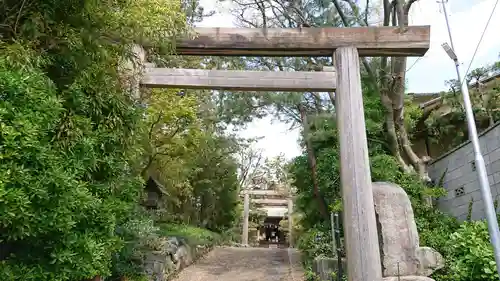 新潟大神宮の鳥居