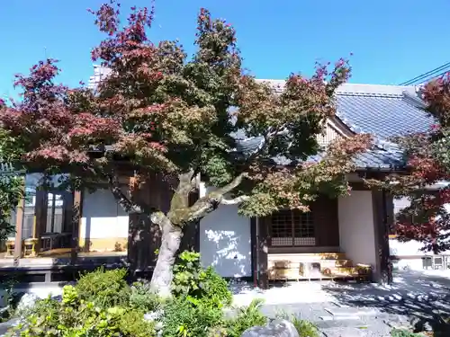 念仏寺（大原念佛寺）(京都府)